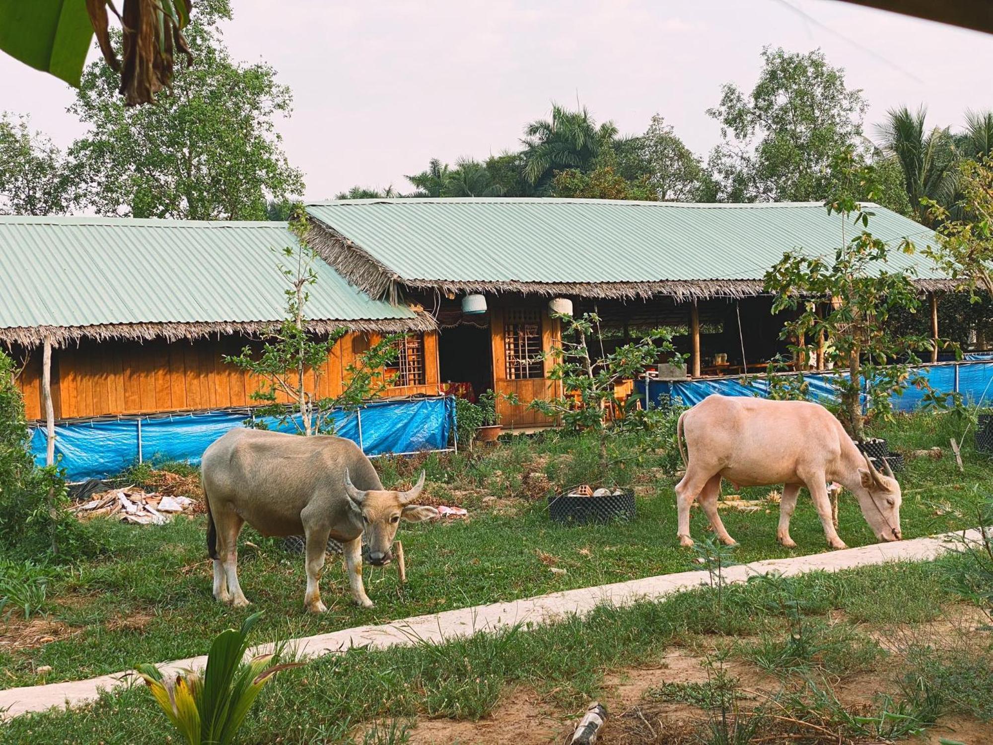 The Local Homestay Con Son 껀터 외부 사진